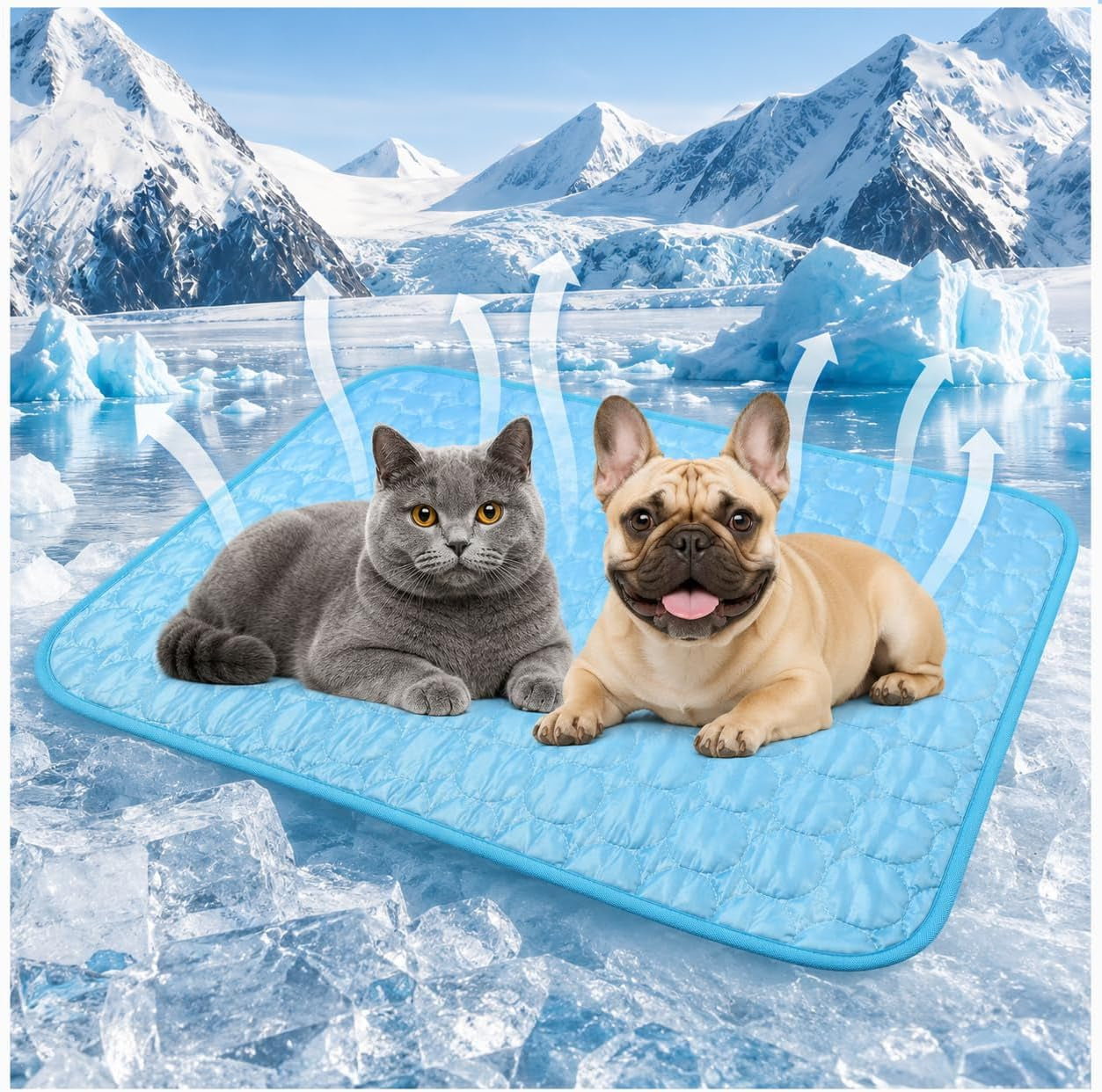 Dog Cooling Mat,70Cm Large Pet Cooling Mat,Suitable for Dogs Cooling Pad,Washable Ice Silk Dog Cooling Mat,Suitable for Dogs and Cats Ice Pads,Indoor and Outdoor Universal Pet Supplies